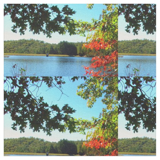 Natures Gift to Hikers Fabric