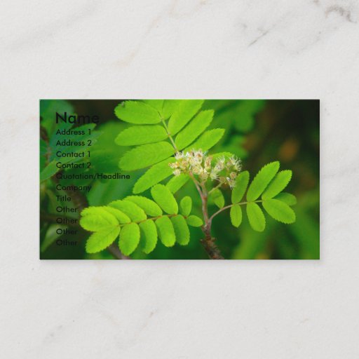 Customizable Natures Glory | Business Card Template