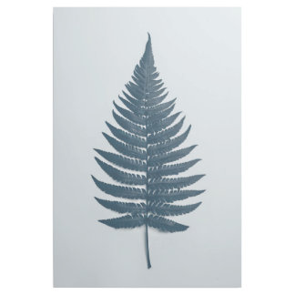 Nature's Grace: Detailed Fern Leaf Home Decor