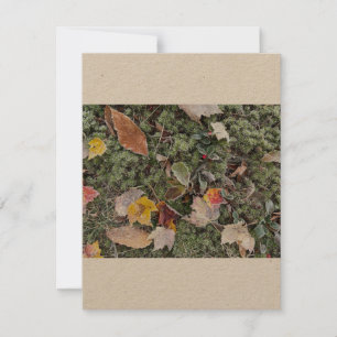 Natures hard frost, Flat Note Card