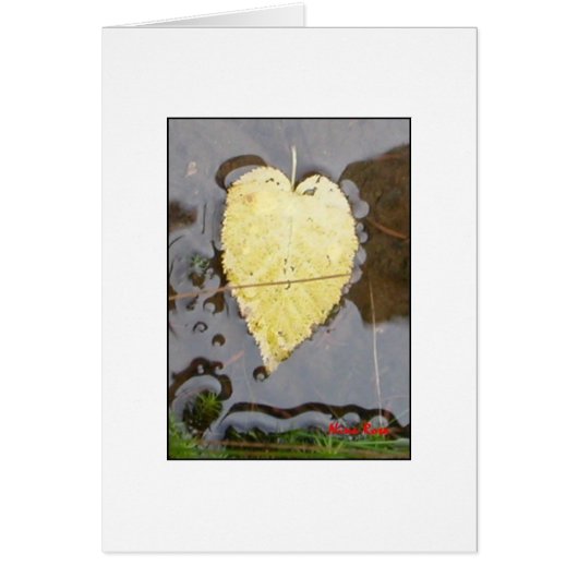 Nature's Heart Cards (Front)
