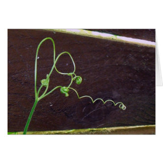 Nature's Heart Strings