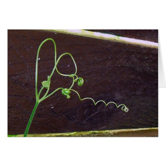 Nature's Heart Strings Cards (Front Horizontal)