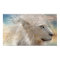 Nature's King Fine Art Poster/Print