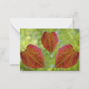 Nature's Leaves of Love Note Card