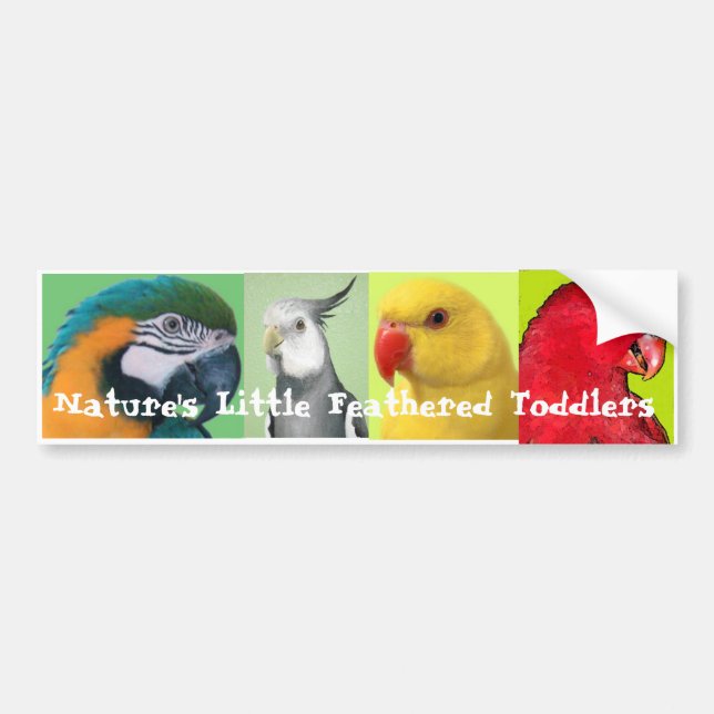 Nature's Little Feathered Toddlers Bumper Sticker (Front)