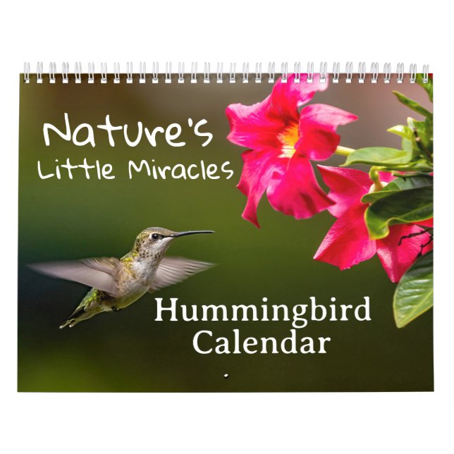 Nature's Little Miracles Hummingbirds Calendar (Cover)
