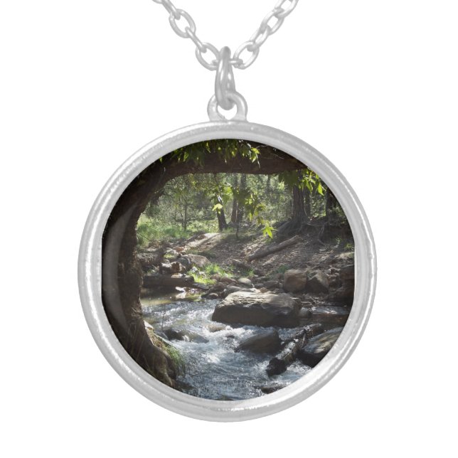Nature's Locket Silver Plated Necklace (Front)