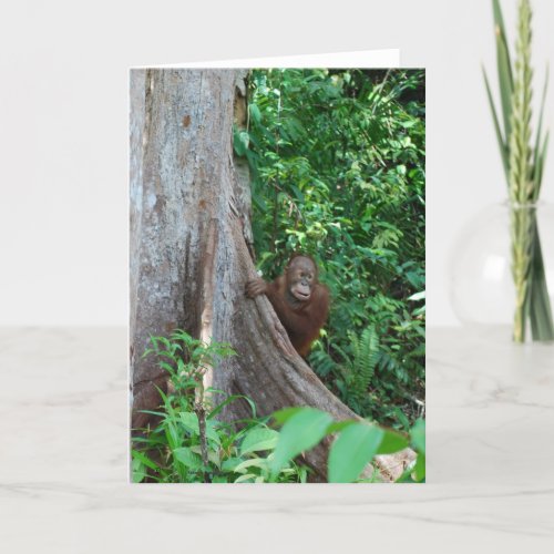 Natures Original Tree Hugger in Rain Forest Card