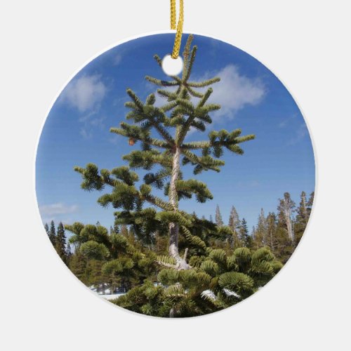 Natures Own Christmas Tree Ceramic Ornament