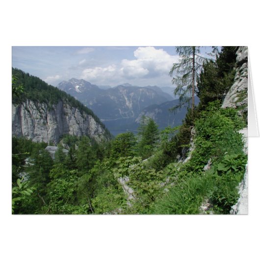 Nature's Paint Brush Cards (Front Horizontal)