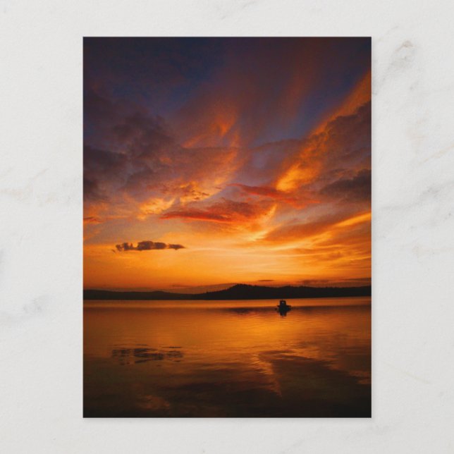 Natures Palette Postcard (Front)