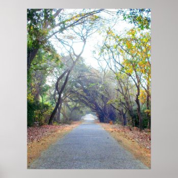 Natures Path Poster by goodtimespot at Zazzle