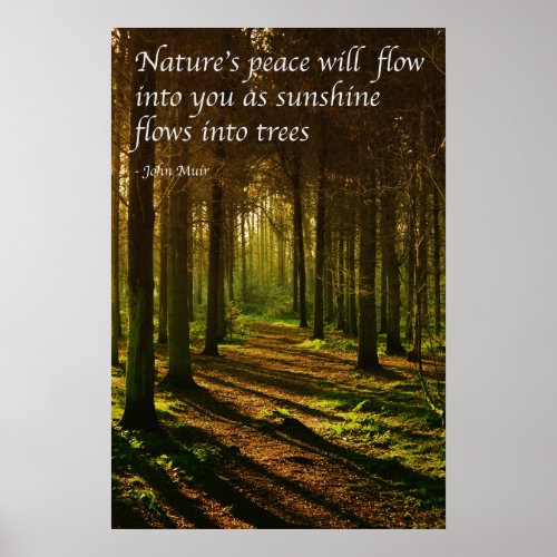 Natures peace will flow into you J Muir quote Poster