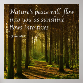 'Nature's peace will flow into you' J Muir quote  Poster