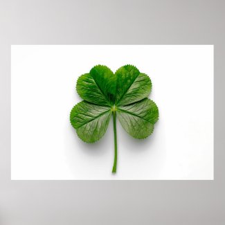 Nature's Perfection: The Symmetry of a Leaf