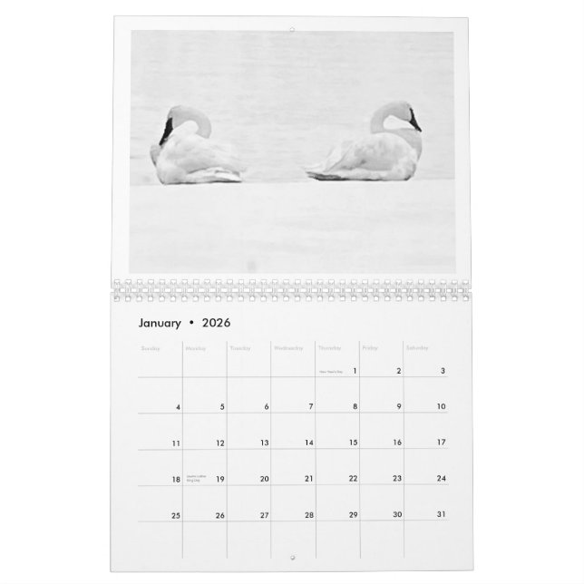Nature's Perspectives - 2026 Wall Calendar (Jan 2026)