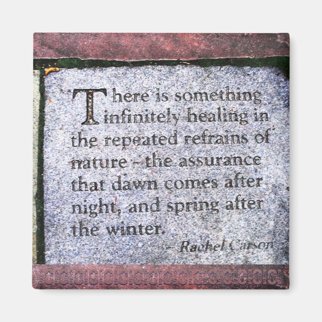 Natures repeated refrain Magnet (Front)