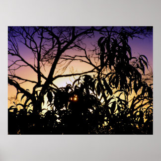 Nature's silhouette Poster