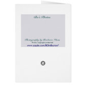 Nature's Sistine chapel: Great Blue Heron (Back)