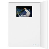 Nature's Sistine chapel: Great Blue Heron Cards (Inside (Left))