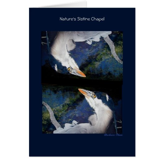 Nature's Sistine chapel: Great Blue Heron Cards (Front)