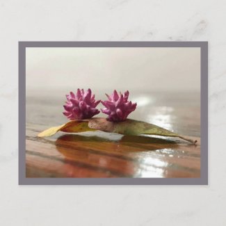 Nature's Surprise Wasp Nursery Postcard