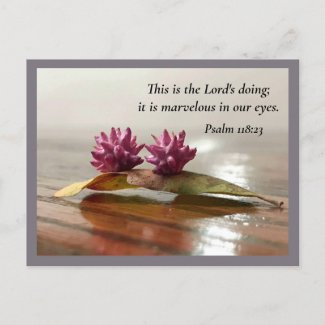 Nature's Surprise Wasp Nursery Psalm Postcard