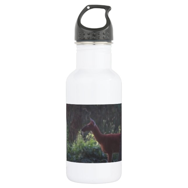 Natures Thirst Water Bottle (Front)