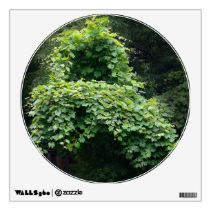 Nature's Throne Vines Wall Sticker