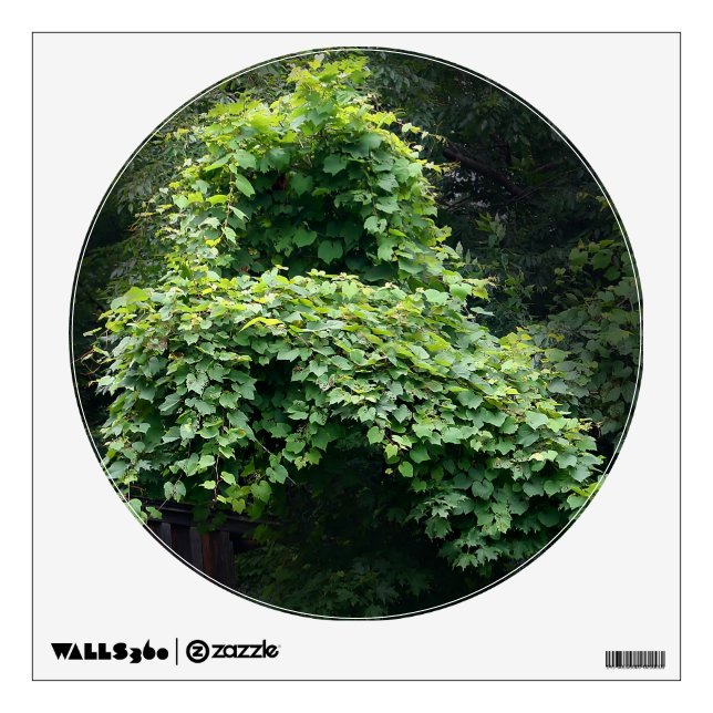 Nature's Throne Vines Wall Sticker (Front)