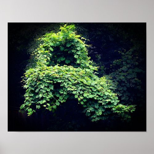 Natures Throne Wild Leafy Vines  Poster