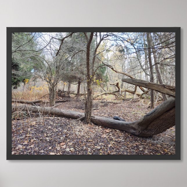 Nature's Tree Exterior Design Framed Art (Framed Front)