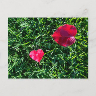 Natures valentine: heart shaped red leaf holiday postcard