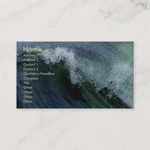 Nature's Wave Business Card