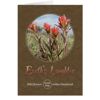 Nature's Wildflower Indian Paintbrush Cards