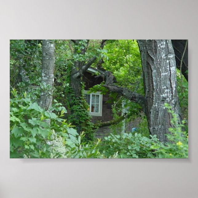 Nature's Window Poster (Front)