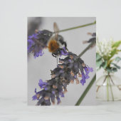 Natures Wonderful Workers (Standing Front)