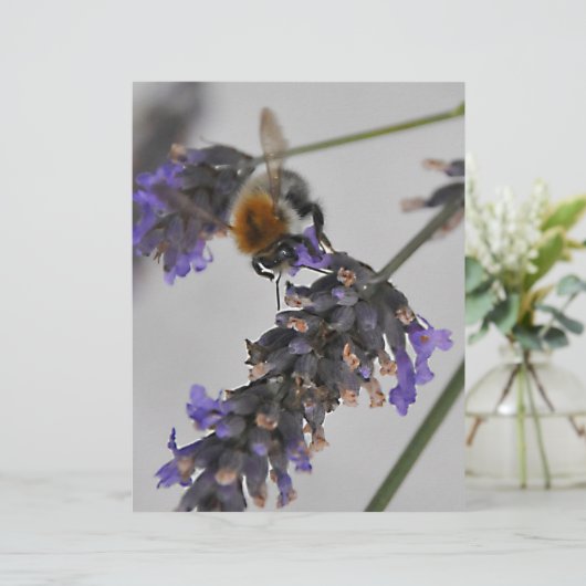 Natures Wonderful Workers (Standing Front)