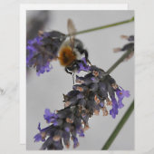 Natures Wonderful Workers (Front/Back)