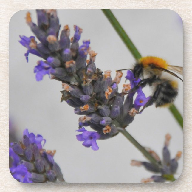 Natures Wonderful Workers Beverage Coaster (Front)