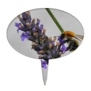 Natures Wonderful Workers Cake Topper