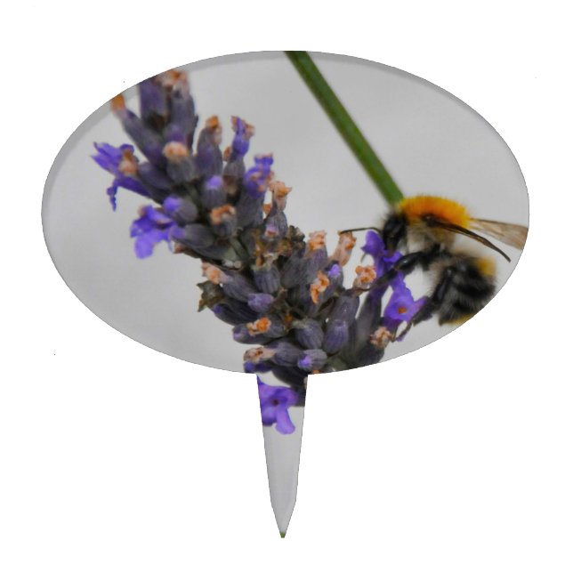 Natures Wonderful Workers Cake Topper (Front)