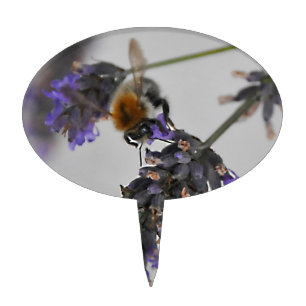 Natures Wonderful Workers Cake Topper