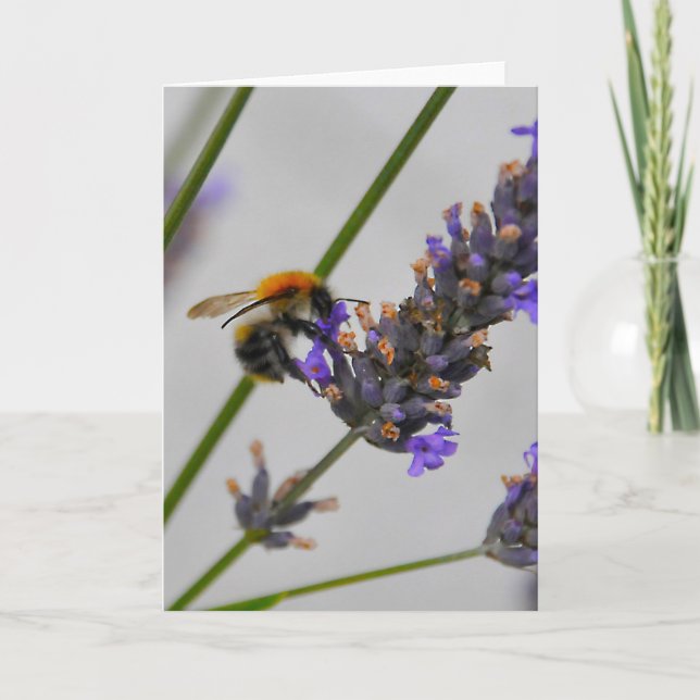 Natures Wonderful Workers Card (Front)