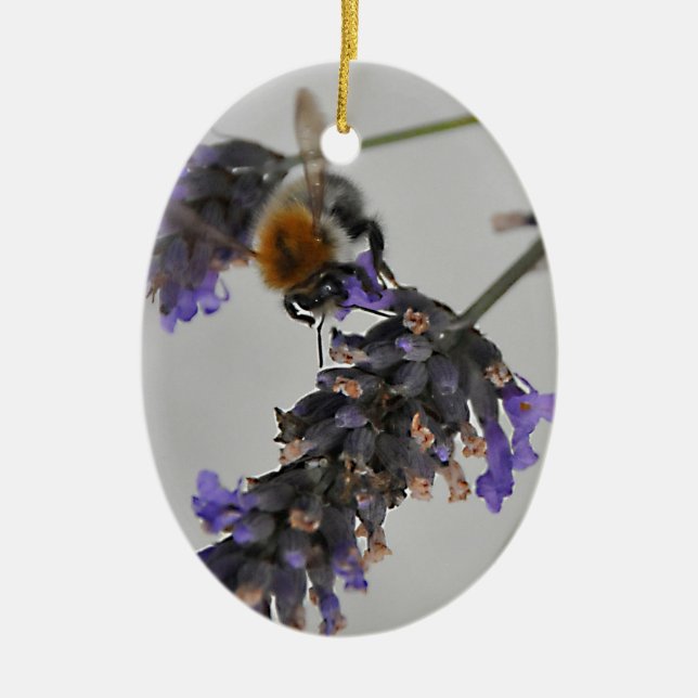 Natures Wonderful Workers Ceramic Ornament (Front)