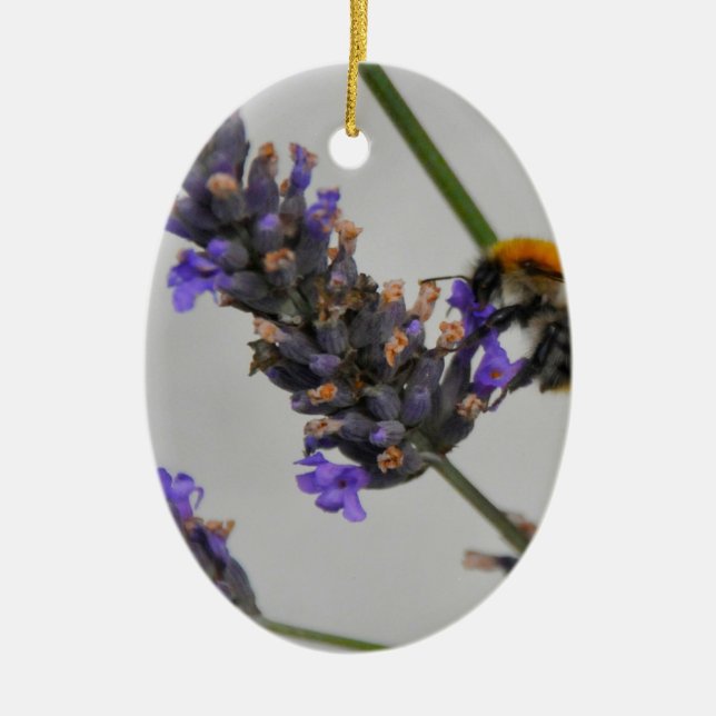 Natures Wonderful Workers Ceramic Ornament (Front)