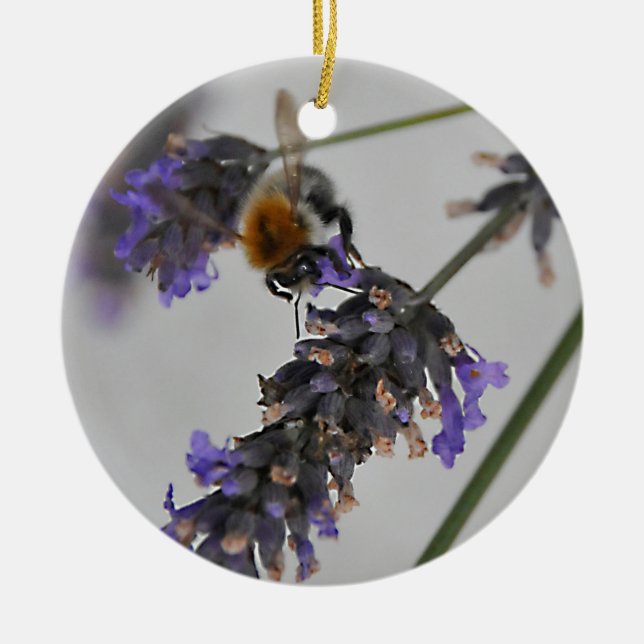 Natures Wonderful Workers Ceramic Ornament (Front)