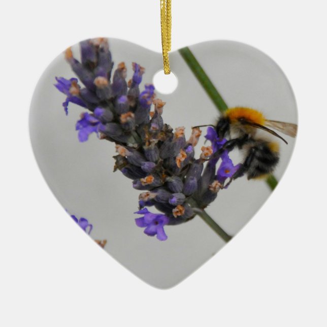 Natures Wonderful Workers Ceramic Ornament (Front)