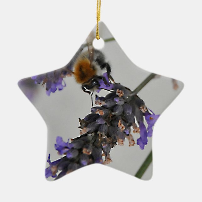 Natures Wonderful Workers Ceramic Ornament (Front)